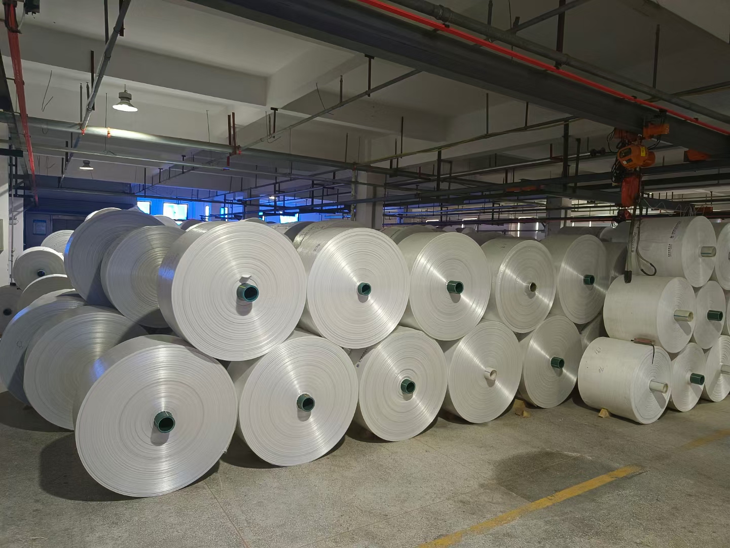 PE bags and liners for export packaging